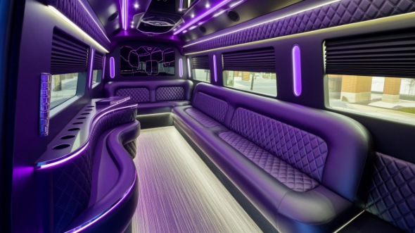 sprinter limo rental interior league city